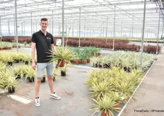 Host Roald van Wezel treated anyone who wanted to to a tour of the company. A wide range of plants is grown, some 5 million per year, on an area of some 10 ha - in short, a lot to see! In hand a so-called 'Yucca Color Guard' (palm lily).